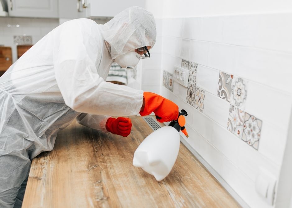 Ordu Ev Böcek İlaçlama